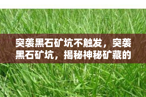 突袭黑石矿坑不触发，突袭黑石矿坑，揭秘神秘矿藏的探险之旅