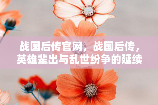 战国后传官网，战国后传，英雄辈出与乱世纷争的延续