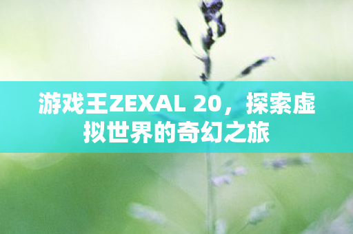 游戏王ZEXAL 20，探索虚拟世界的奇幻之旅