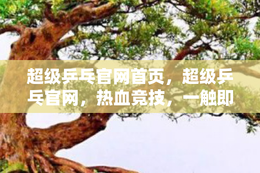 超级乒乓官网首页，超级乒乓官网，热血竞技，一触即发！