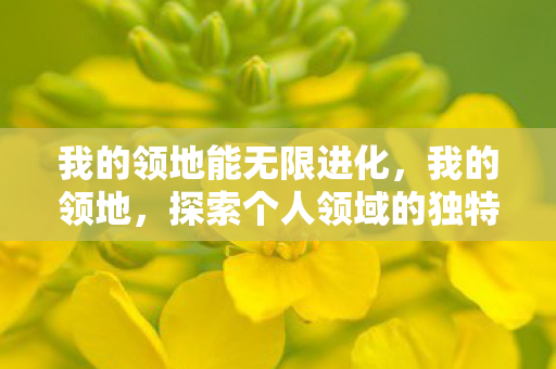 我的领地能无限进化，我的领地，探索个人领域的独特魅力与价值