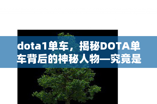 dota1单车，揭秘DOTA单车背后的神秘人物—究竟是谁？