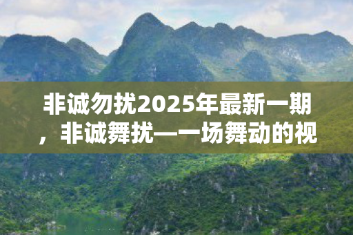 非诚勿扰2025年最新一期，非诚舞扰—一场舞动的视觉盛宴