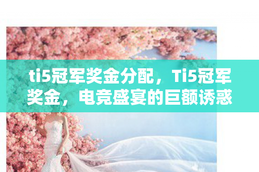 ti5冠军奖金分配，Ti5冠军奖金，电竞盛宴的巨额诱惑