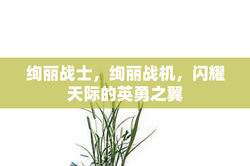 绚丽战士，绚丽战机，闪耀天际的英勇之翼