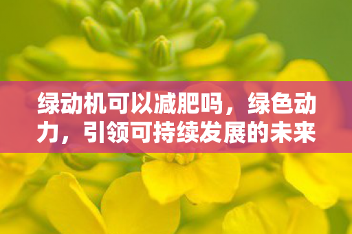 绿动机可以减肥吗，绿色动力，引领可持续发展的未来之路