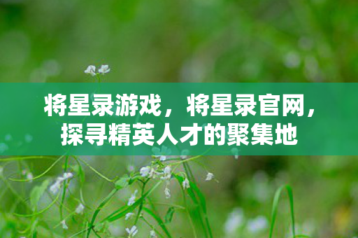 将星录游戏，将星录官网，探寻精英人才的聚集地