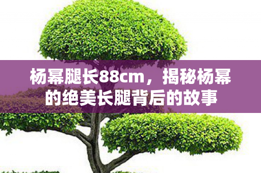 杨幂腿长88cm，揭秘杨幂的绝美长腿背后的故事