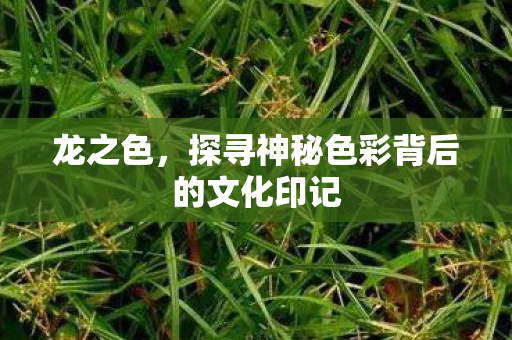 龙之色，探寻神秘色彩背后的文化印记