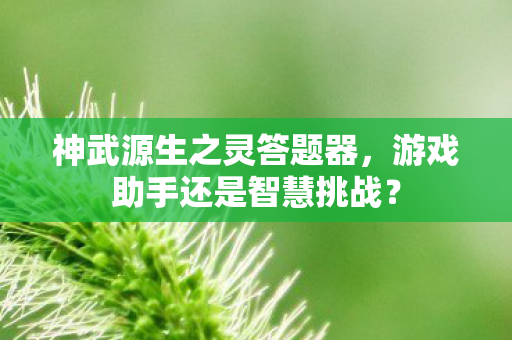 神武源生之灵答题器，游戏助手还是智慧挑战？