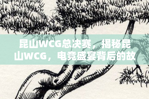 昆山WCG总决赛，揭秘昆山WCG，电竞盛宴背后的故事