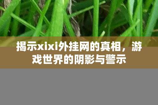 揭示xixi外挂网的真相，游戏世界的阴影与警示