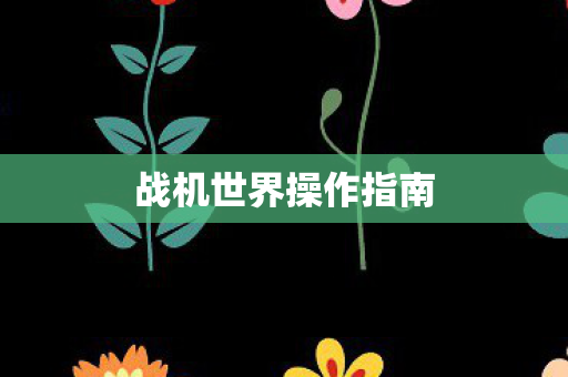 战机世界操作指南