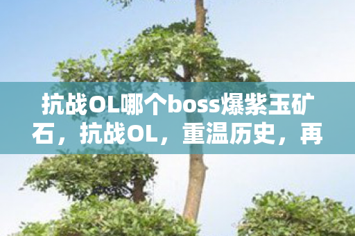 抗战OL哪个boss爆紫玉矿石，抗战OL，重温历史，再现荣耀