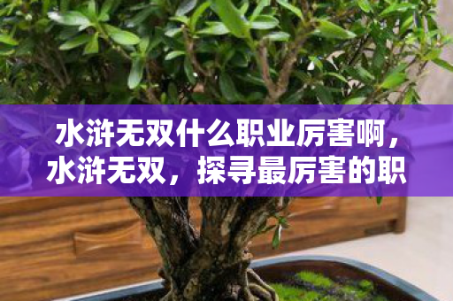 水浒无双什么职业厉害啊，水浒无双，探寻最厉害的职业角色