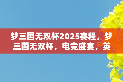 梦三国无双杯2025赛程，梦三国无双杯，电竞盛宴，英雄荣耀
