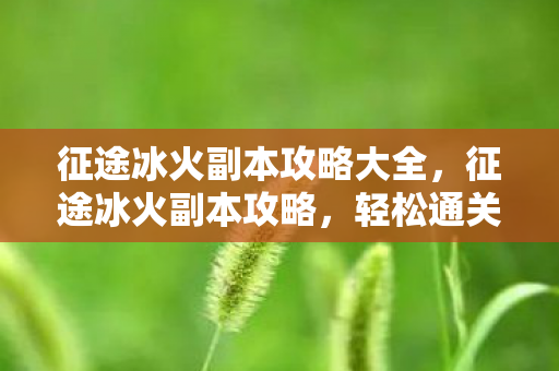 征途冰火副本攻略大全，征途冰火副本攻略，轻松通关，获取丰厚奖励！