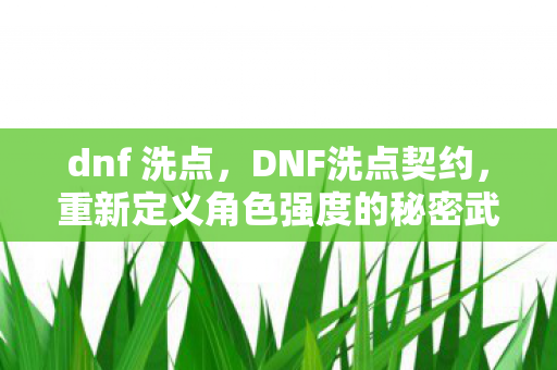 dnf 洗点，DNF洗点契约，重新定义角色强度的秘密武器