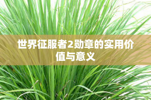 世界征服者2勋章的实用价值与意义