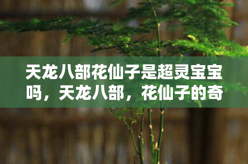 天龙八部花仙子是超灵宝宝吗，天龙八部，花仙子的奇幻世界