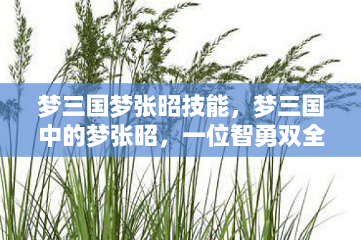 梦三国梦张昭技能，梦三国中的梦张昭，一位智勇双全的传奇人物