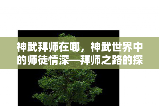 神武拜师在哪，神武世界中的师徒情深—拜师之路的探寻
