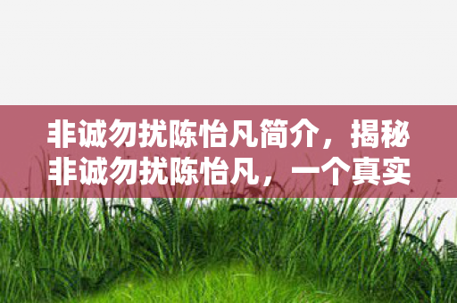 非诚勿扰陈怡凡简介，揭秘非诚勿扰陈怡凡，一个真实与多元的舞台人生