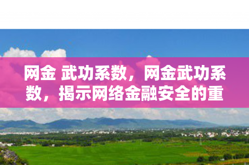 网金 武功系数，网金武功系数，揭示网络金融安全的重要性与应对策略
