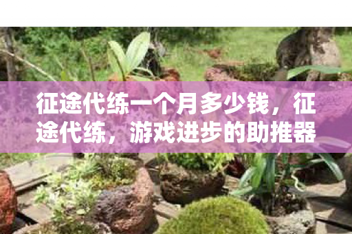 征途代练一个月多少钱，征途代练，游戏进步的助推器还是潜在的风险？
