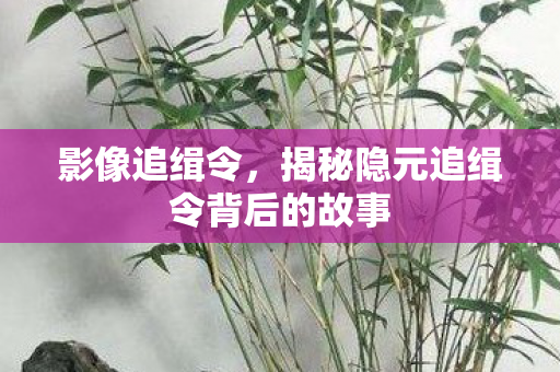 影像追缉令，揭秘隐元追缉令背后的故事