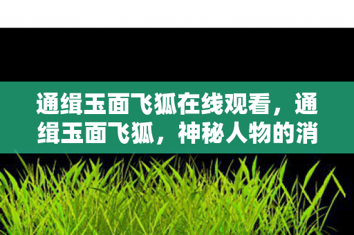 通缉玉面飞狐在线观看，通缉玉面飞狐，神秘人物的消失与追踪