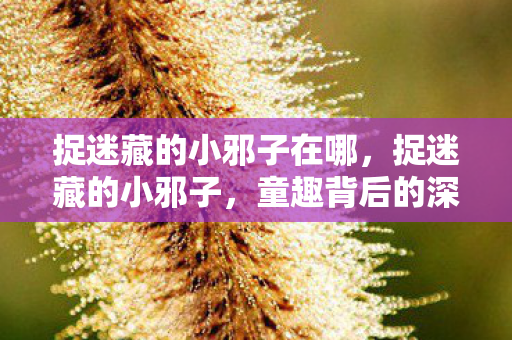 捉迷藏的小邪子在哪，捉迷藏的小邪子，童趣背后的深层意义