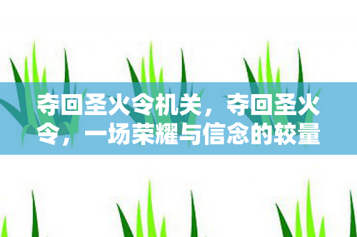 夺回圣火令机关，夺回圣火令，一场荣耀与信念的较量