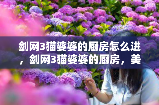 剑网3猫婆婆的厨房怎么进，剑网3猫婆婆的厨房，美食与江湖的交融