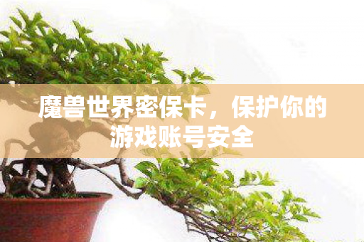 魔兽世界密保卡，保护你的游戏账号安全