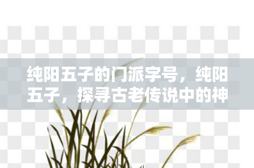 纯阳五子的门派字号，纯阳五子，探寻古老传说中的神秘力量