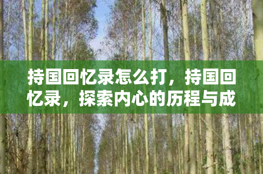 持国回忆录怎么打，持国回忆录，探索内心的历程与成长