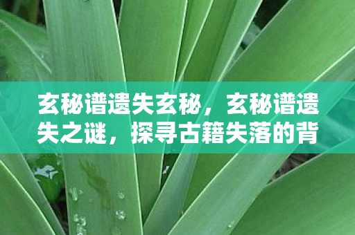 玄秘谱遗失玄秘，玄秘谱遗失之谜，探寻古籍失落的背后故事