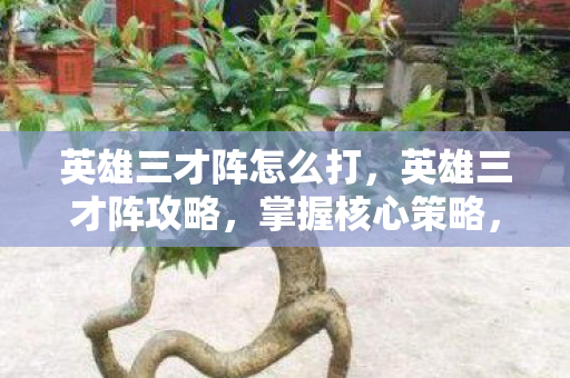 英雄三才阵怎么打，英雄三才阵攻略，掌握核心策略，轻松战胜对手