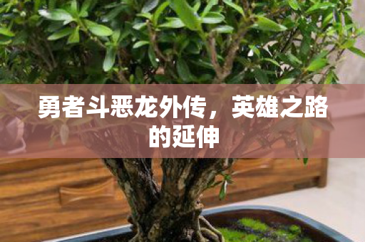 勇者斗恶龙外传，英雄之路的延伸