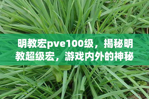 明教宏pve100级，揭秘明教超级宏，游戏内外的神秘力量