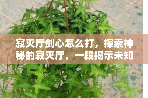 寂灭厅剑心怎么打，探索神秘的寂灭厅，一段揭示未知世界的旅程