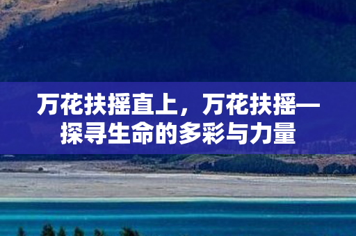 万花扶摇直上，万花扶摇—探寻生命的多彩与力量