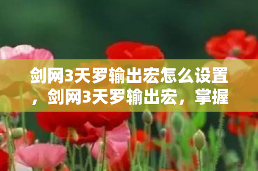 剑网3天罗输出宏怎么设置，剑网3天罗输出宏，掌握核心技巧，轻松提升战斗力