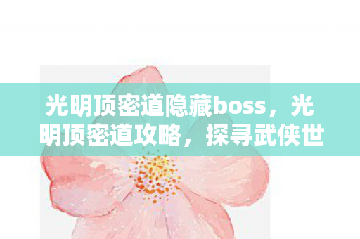 光明顶密道隐藏boss，光明顶密道攻略，探寻武侠世界的神秘之地