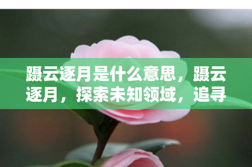 蹑云逐月是什么意思，蹑云逐月，探索未知领域，追寻梦想的脚步不停歇