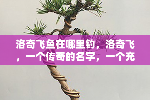 洛奇飞鱼在哪里钓，洛奇飞，一个传奇的名字，一个充满无限可能的人生旅程