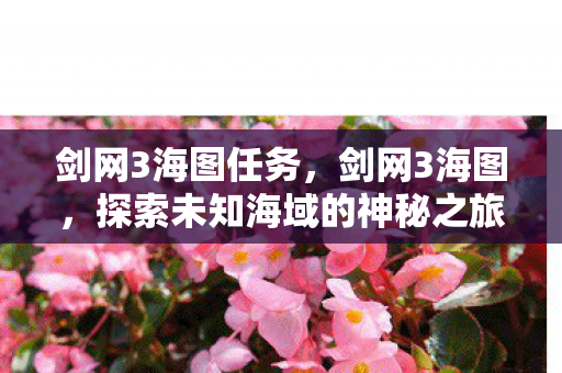 剑网3海图任务，剑网3海图，探索未知海域的神秘之旅