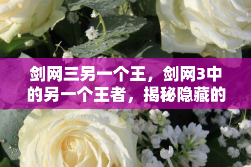 剑网三另一个王，剑网3中的另一个王者，揭秘隐藏的游戏魅力与独特之处