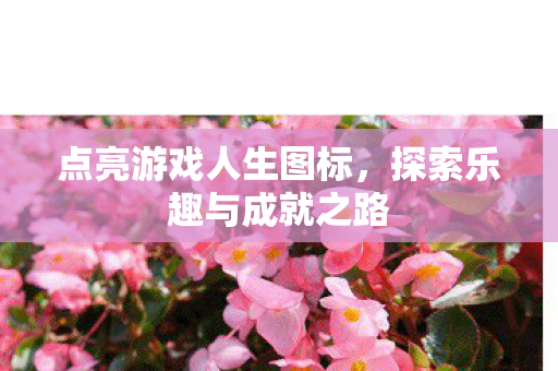 点亮游戏人生图标，探索乐趣与成就之路
